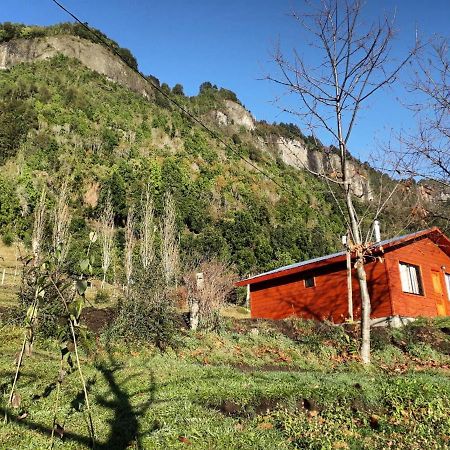 Don Patricio Hotel Coñaripe Eksteriør billede