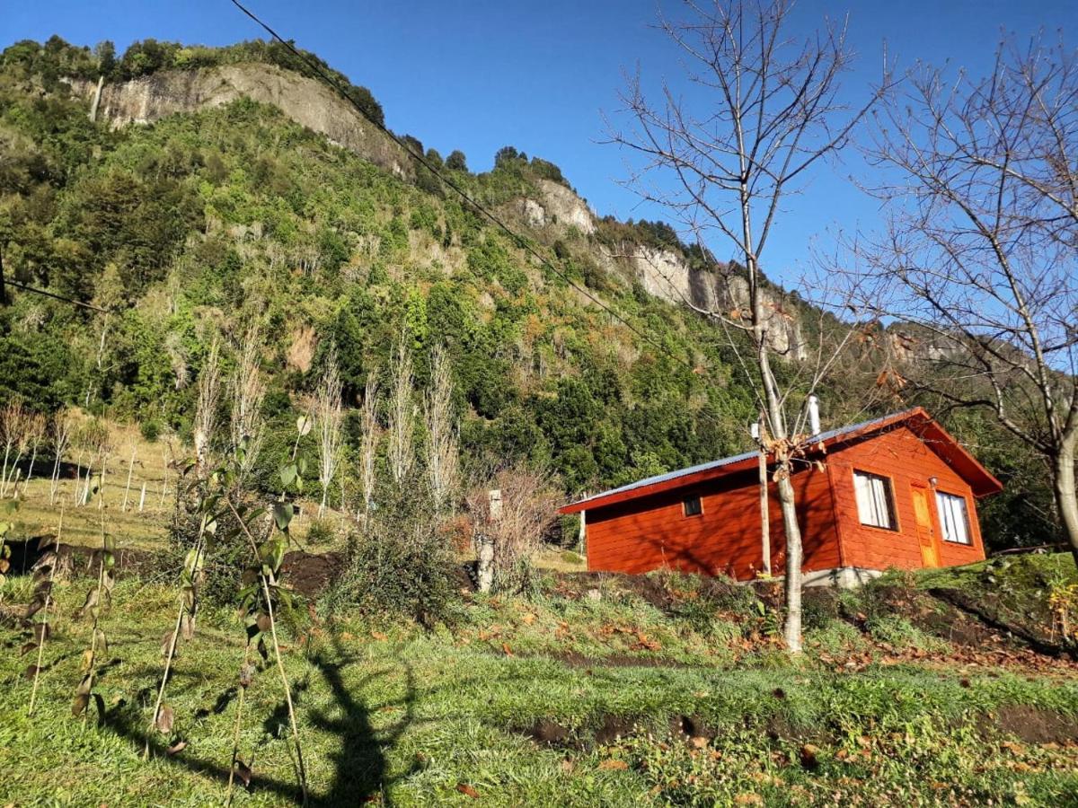 Don Patricio Hotel Coñaripe Eksteriør billede